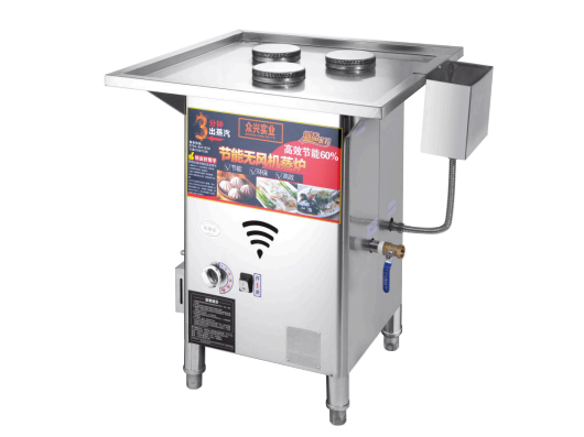 节能无风机自排蒸炉